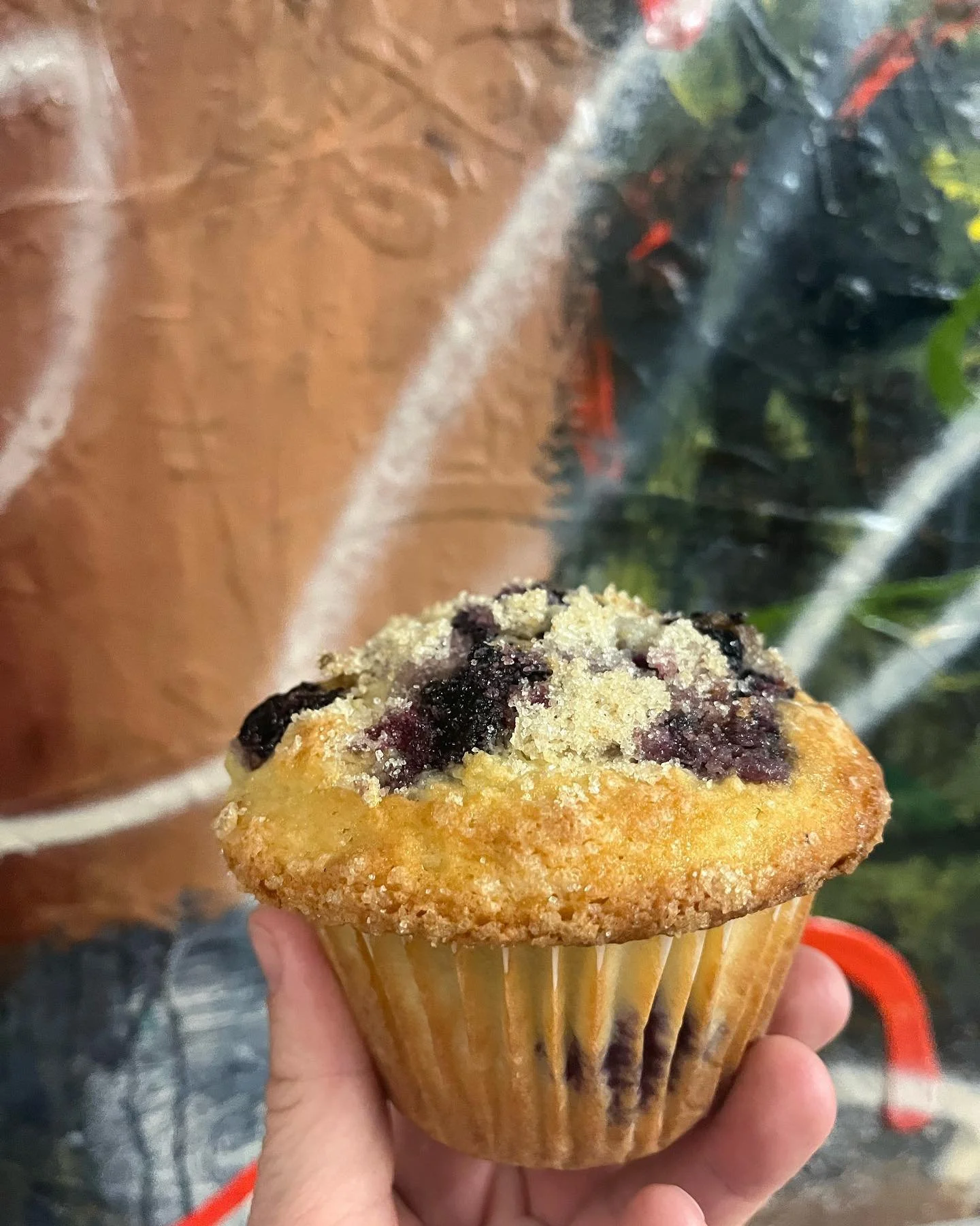 Fresh blueberry muffin